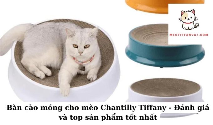 Bàn cào móng cho mèo Chantilly Tiffany - Đánh giá và top sản phẩm tốt nhất