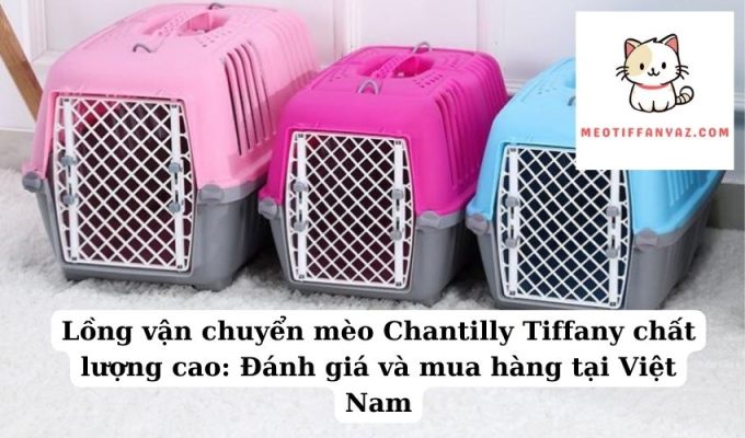 Lồng vận chuyển mèo Chantilly Tiffany chất lượng cao Đánh giá và mua hàng tại Việt Nam