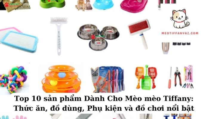 Top 10 sản phẩm Dành Cho Mèo mèo Tiffany Thức ăn, đồ dùng, Phụ kiện và đồ chơi nổi bật