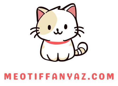 meotiffanyaz.com